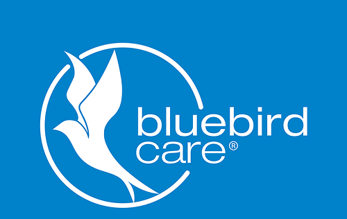 Bluebird Care jobs