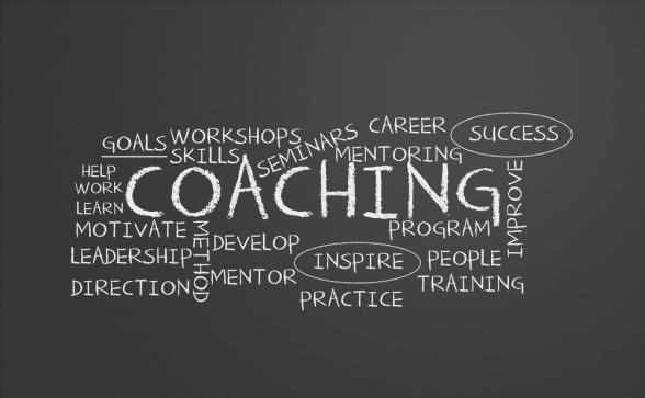 Career Coaches